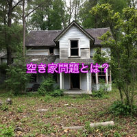 画像4132